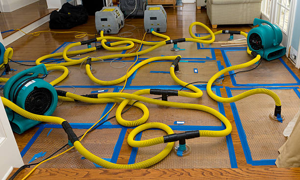 Professional Flood Damage Restoration technician working in Samaria, MI