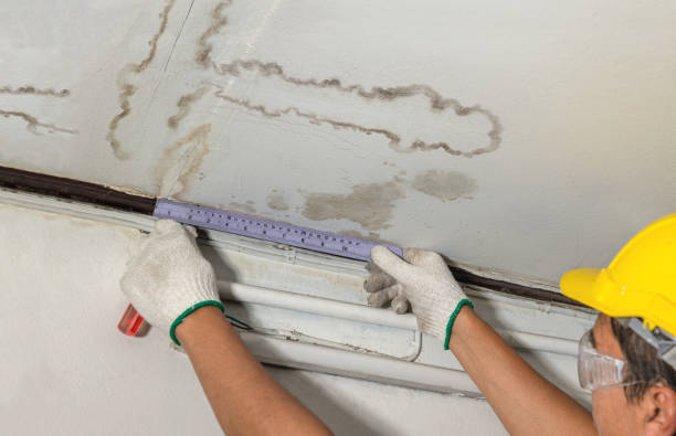 Affordable Water Damage Repair solutions in Samaria, MI